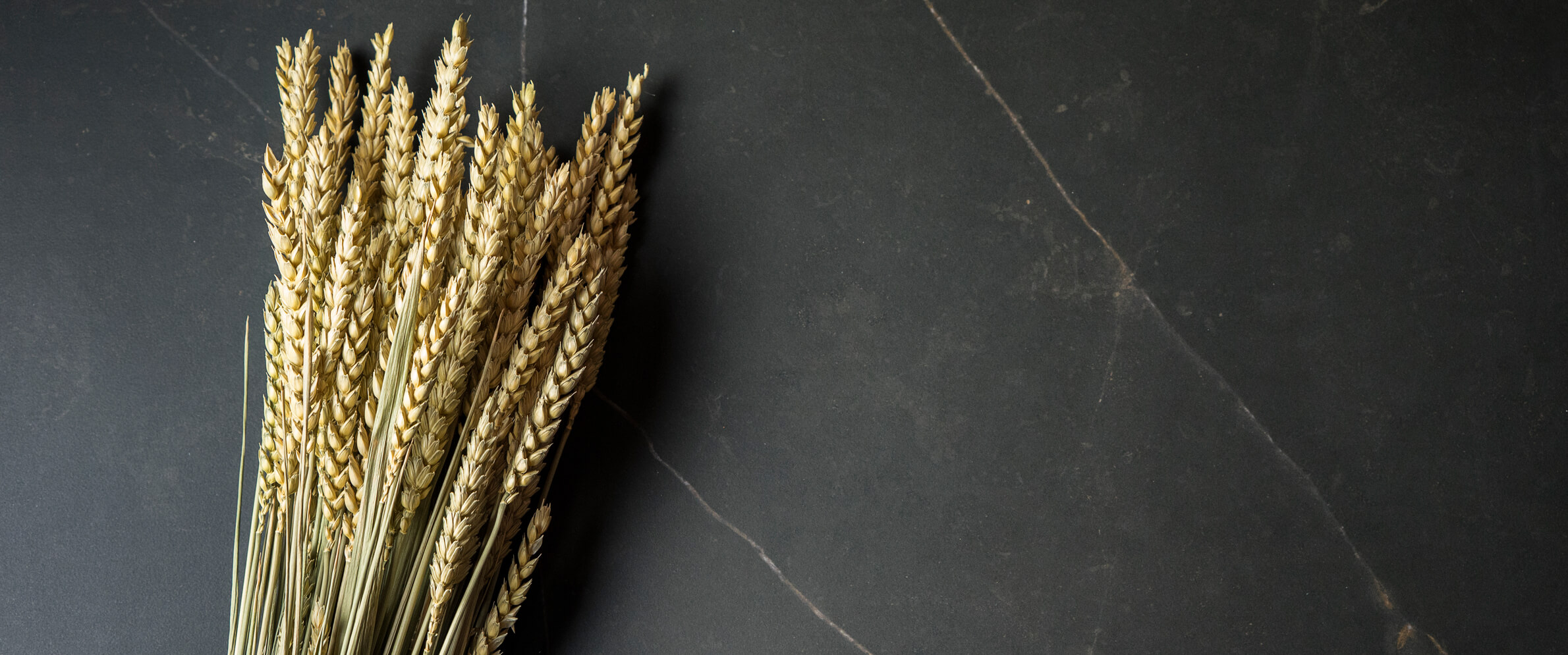 Neolith_Calatorao Neolith_Calatorao
